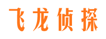 林西侦探公司